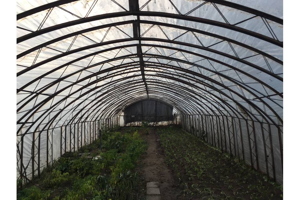 Greenhouses 비닐하우스